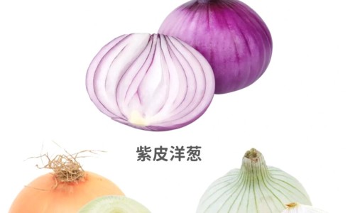 水产类食物营养规律包括-水产营养需求与饲料配制技术、水产品的食疗与健康 -水产类食物营养规律网