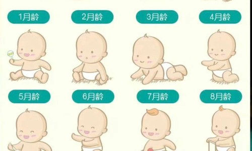 水产饮食-水产营养需求与饲料配制技术、水产品的食疗与健康 -水产类食物营养规律网